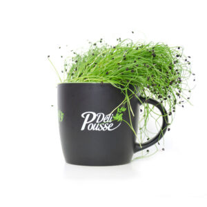 pousses-tango-pousses-vegetales-commestibles-ciboulette-a-ail