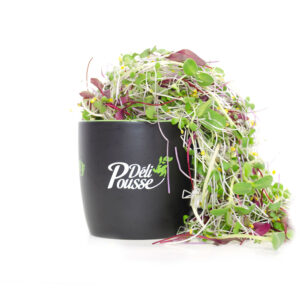 Pousses Deli Mix
