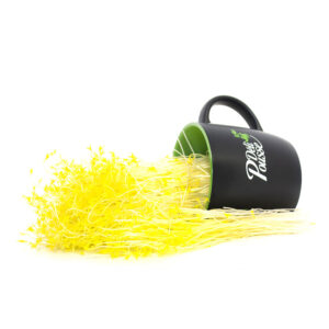 pousses-tango-pousses-vegetales-commestibles-lentilles-jaunes