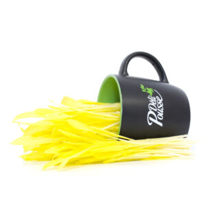 pousses-tango-pousses-vegetales-commestibles-mais-jaune