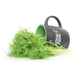 pousses-tango-pousses-vegetales-commestibles-pois