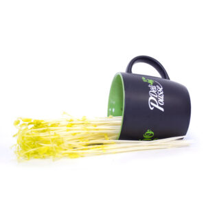 pousses-tango-pousses-vegetales-commestibles-pois-jaunes