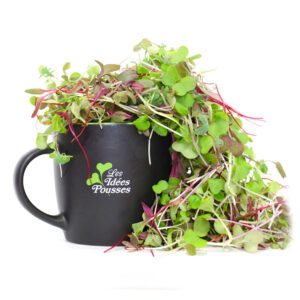 pousses-tango-pousses-vegetales-commestibles-vertu-ose
